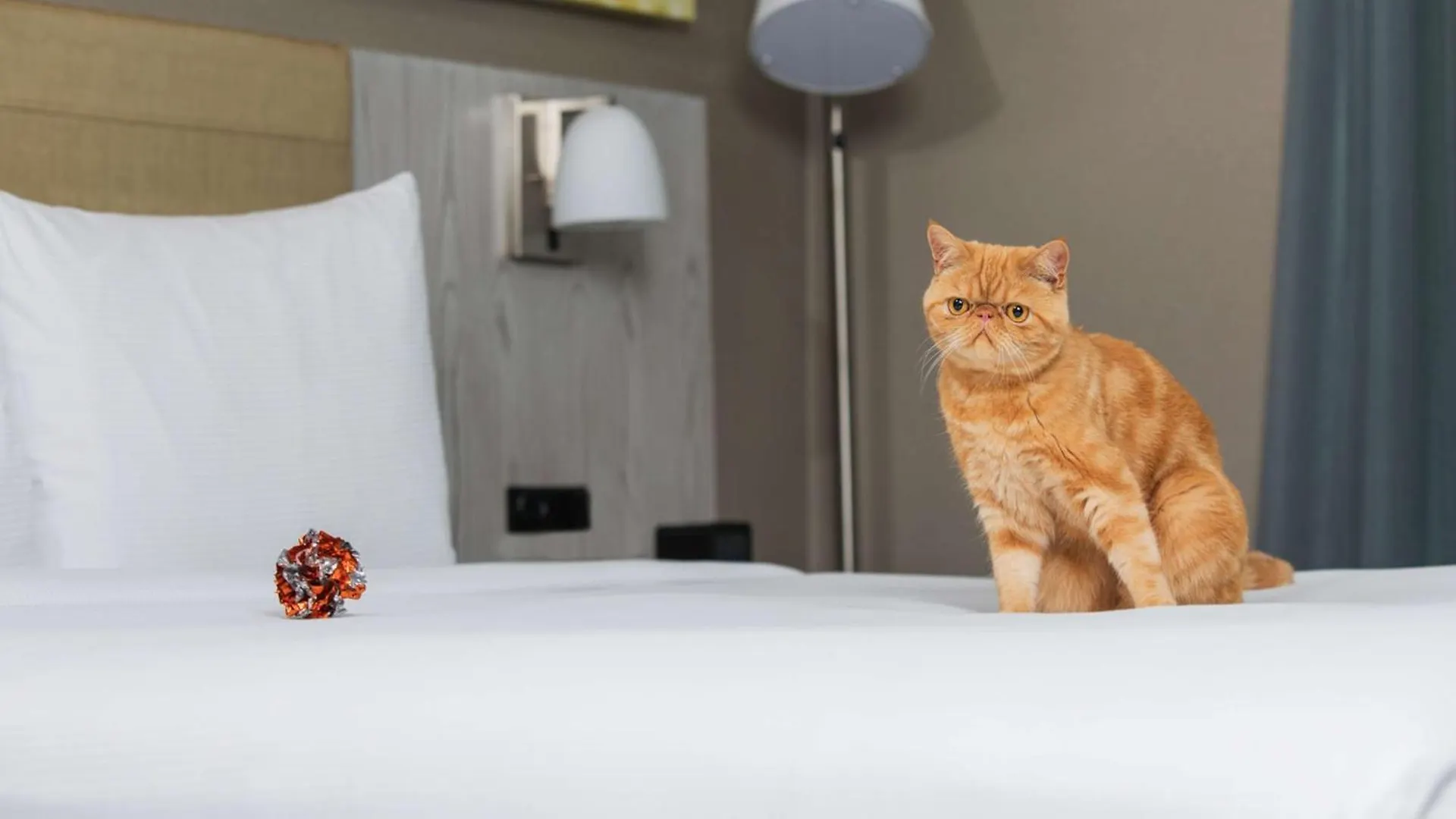 Doubletree By Hilton New York Times Square West Otel